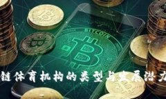 区块链体育机构的类型与发展潜力分析