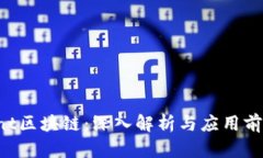 Ant区块链：深入解析与应用前景