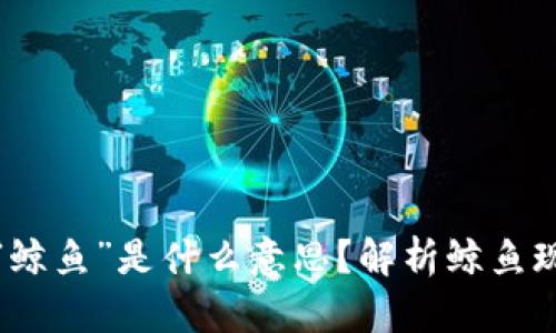 区块链中的“鲸鱼”是什么意思？解析鲸鱼现象及其影响