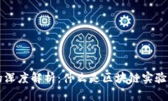 区块链实验的深度解析：什么是区块链实验及其