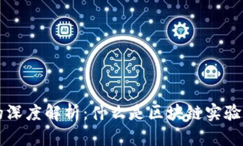 区块链实验的深度解析：什么是区块链实验及其应用前景