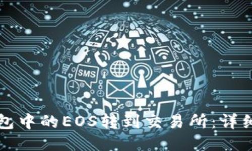 如何将TP钱包中的EOS转到交易所：详细步骤与技巧