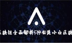 2023年小白区块链全面解析：什么是小白区块链及