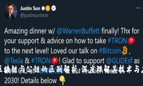 : 区块链与公链的区别解析：深度理解其技术与应用