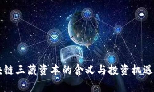 区块链三藏资本的含义与投资机遇解析