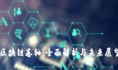 区块链卷轴：全面解析与未来展望