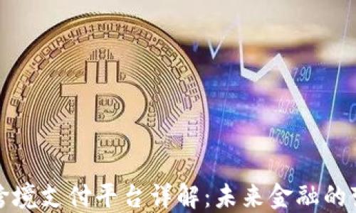 
区块链跨境支付平台详解：未来金融的变革之路