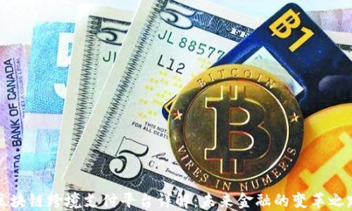 
区块链跨境支付平台详解：未来金融的变革之路