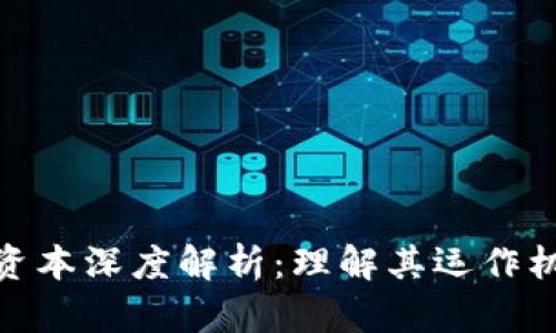 亚马逊区块链资本深度解析：理解其运作机制与市场影响
