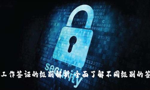 区块链工作签证的级别解析：全面了解不同级别的签证选项