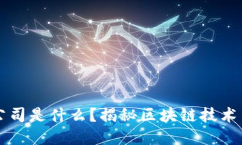 区块链开发公司是什么？揭秘区块链技术与开发的未来