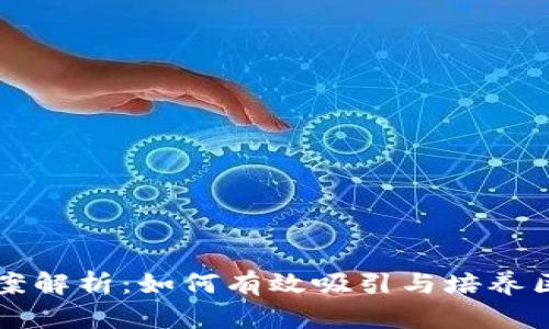 区块链人才引流方案解析：如何有效吸引与培养区块链领域专业人才