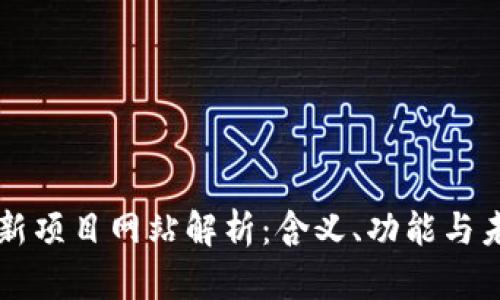 区块链新项目网站解析：含义、功能与未来发展