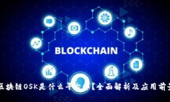 区块链OSK是什么平台币？全面解析及应用前景