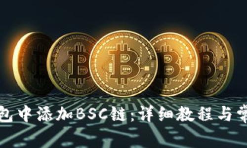 如何在TP钱包中添加BSC链：详细教程与常见问题解答