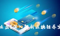区块链宠物是什么盘？深入解析区块链养宠物的