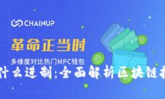 biamti区块链是什么进制：全面解析区块链技术的