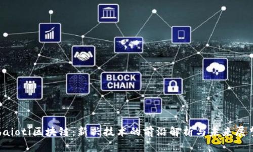 baioti区块链：新兴技术的前沿解析与未来展望