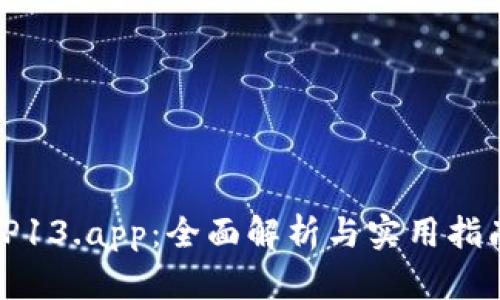 TP13.app：全面解析与实用指南