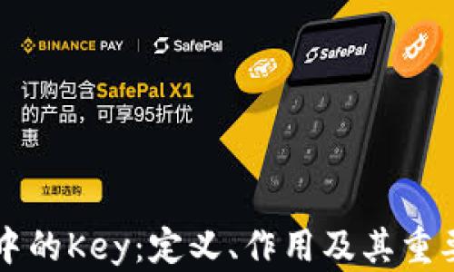 
区块链中的Key：定义、作用及其重要性解析