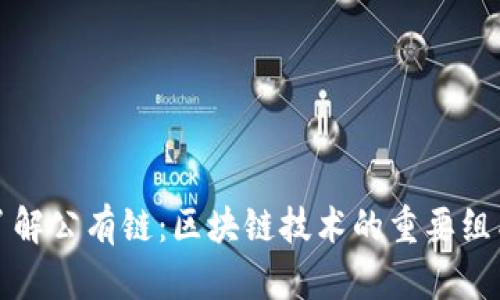 深入了解公有链：区块链技术的重要组成部分