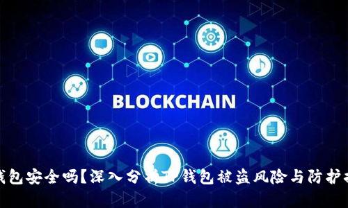 TP钱包安全吗？深入分析TP钱包被盗风险与防护措施