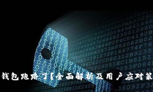 TP钱包跑路了？全面解析及用户应对策略