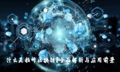 什么是拉峰区块链？全面解析与应用前景