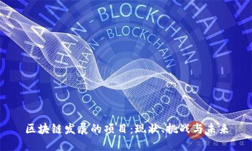 区块链发展的项目：现状、挑战与未来