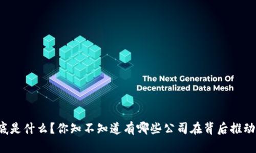 区块链到底是什么？你知不知道有哪些公司在背后推动它的革新？