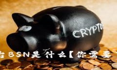 国家区块链平台BSN是什么？你需要了解的全部信