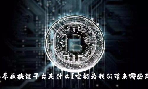 洗车保养区块链平台是什么？它能为我们带来哪些新体验？