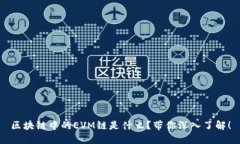 区块链中的EVM链是什么？带你深入了解！