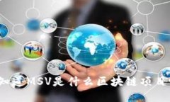 你知道MSV是什么区块链项目吗？
