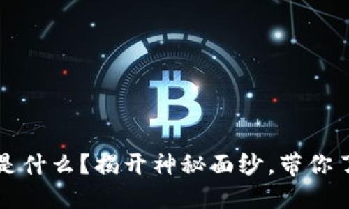 区块链主网上线到底是什么？揭开神秘面纱，带你了解背后的技术与意义