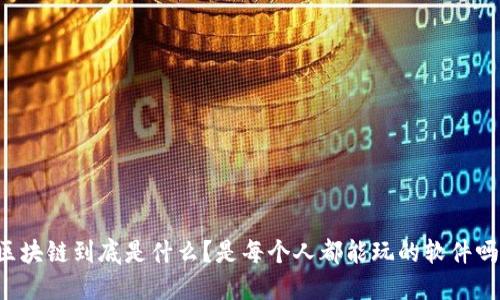 区块链到底是什么？是每个人都能玩的软件吗？