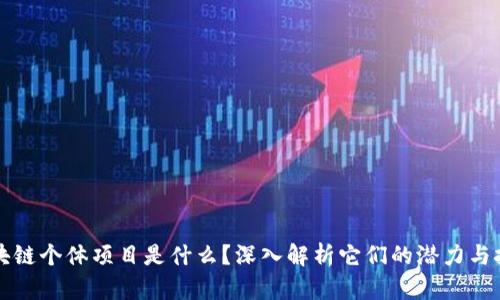 区块链个体项目是什么？深入解析它们的潜力与挑战