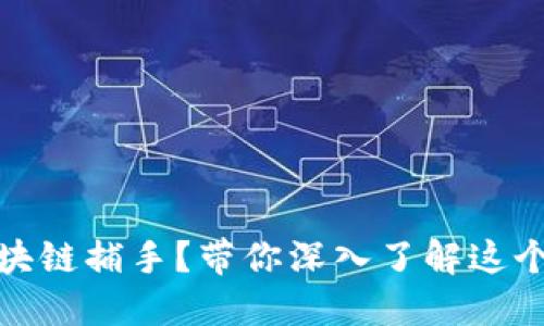 什么是区块链捕手？带你深入了解这个新兴概念