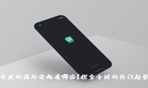 区块链开发的海外方向有哪些？探索全球的热门趋势与机会