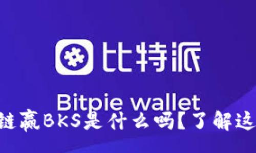 qa
    你知道区块链赢BKS是什么吗？了解这项技术的秘密吧！