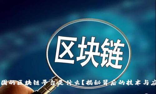 美团的区块链平台是什么？揭秘背后的技术与应用