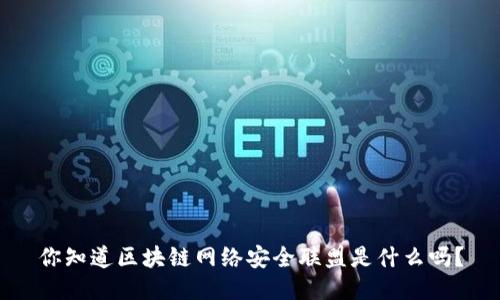 你知道区块链网络安全联盟是什么吗？