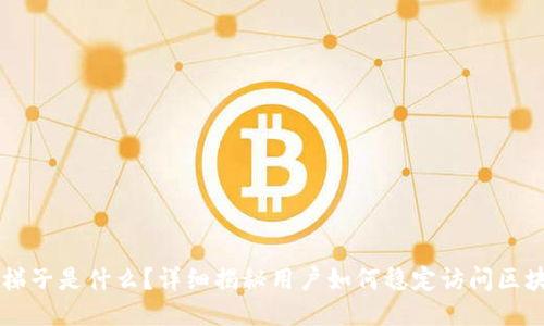 区块链梯子是什么？详细揭秘用户如何稳定访问区块链应用