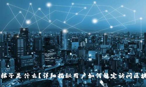 区块链梯子是什么？详细揭秘用户如何稳定访问区块链应用