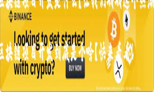 生冷不熟的内容，直入主题

区块链项目开发是什么？让我们聊聊这个热潮！

区块链项目开发到底是个啥？快来看看！