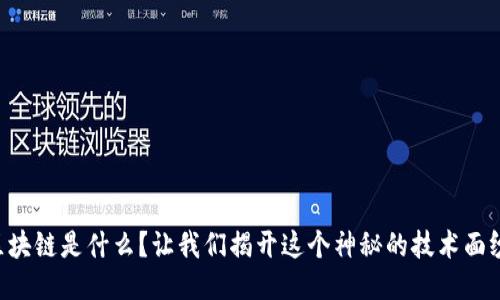 区块链是什么？让我们揭开这个神秘的技术面纱！