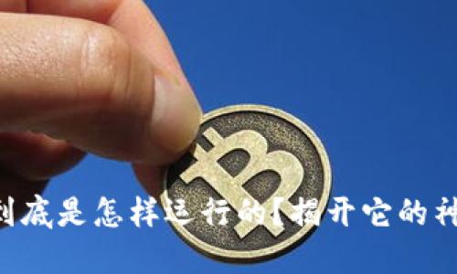 区块链到底是怎样运行的？揭开它的神秘面纱！