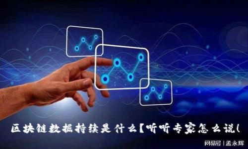区块链数据持续是什么？听听专家怎么说！