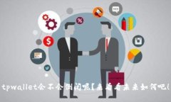 tpwallet会不会倒闭呢？来看看未来如何吧！