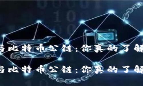 区块链与比特币公链：你真的了解它们吗？

区块链与比特币公链：你真的了解它们吗？
